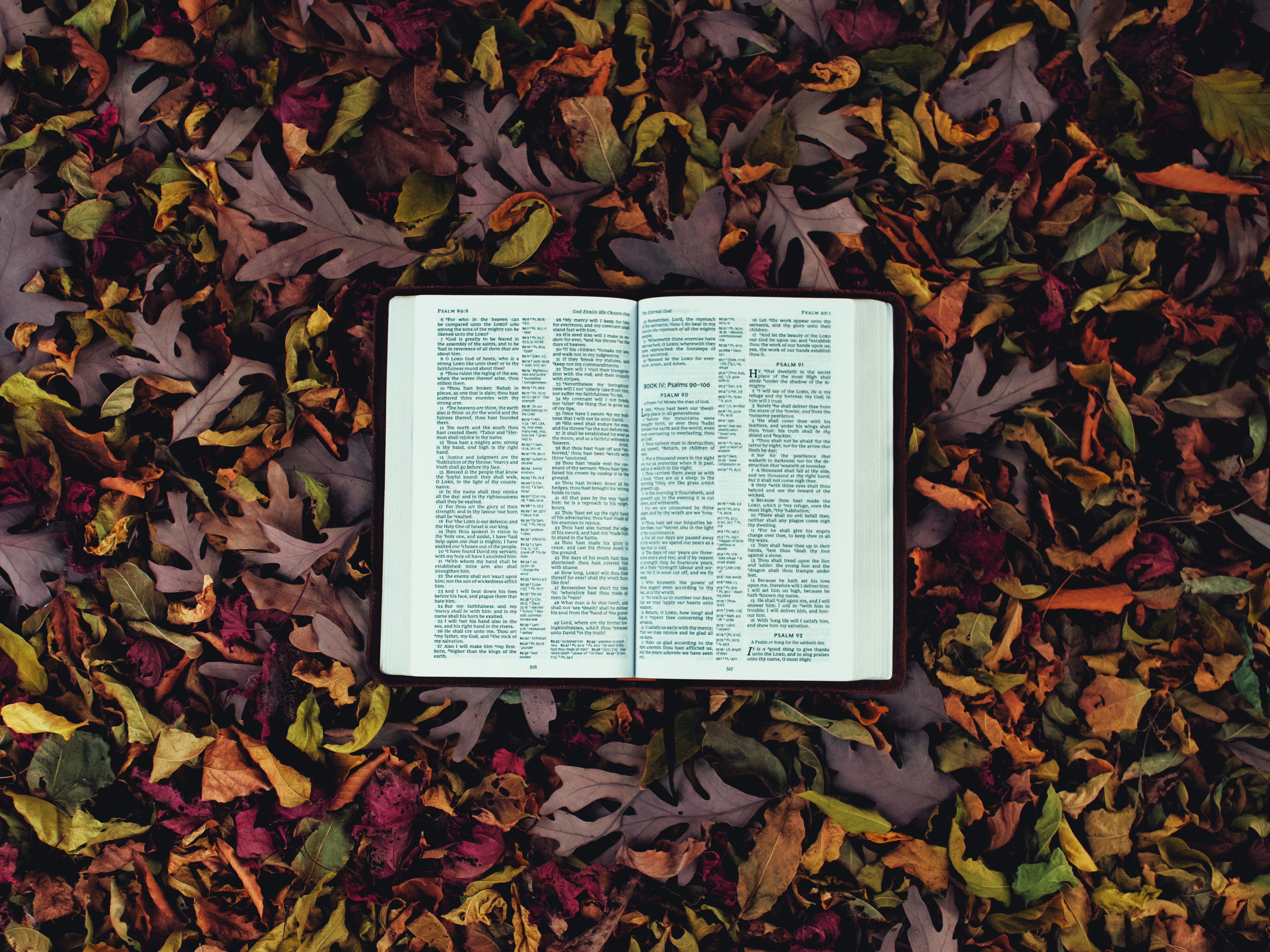Aaron Burden Bj1tykrwrbc Unsplash (1)